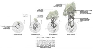 01-mangrove-floating-hubs