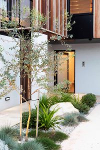 ASCENDING COURTYARD HOUSE PHOTO FRONT LANDSCAPE