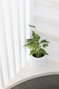 PERFORATED HOUSE PHOTO LEDGE