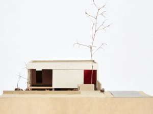 SUBTRACTED HOUSE MODEL FRONT